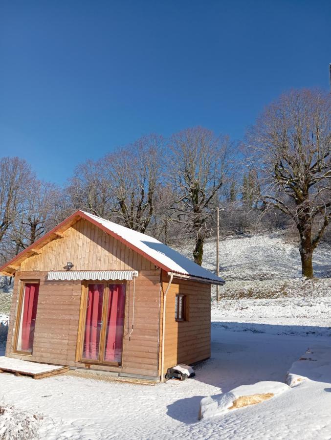La P'Tite Maison Bois Du Herisson Menetrux-en-Joux Екстериор снимка